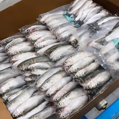 Özel Tasarım Plastik Bariyer Termo Kırılma Filmi Gıda Paketleri için Isı Sızdırma 50-150um